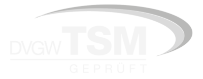 Logo TSM